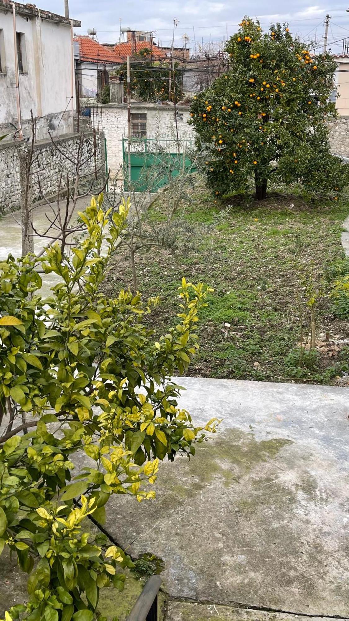 بيت شباب Ardjon House بيرات المظهر الخارجي الصورة